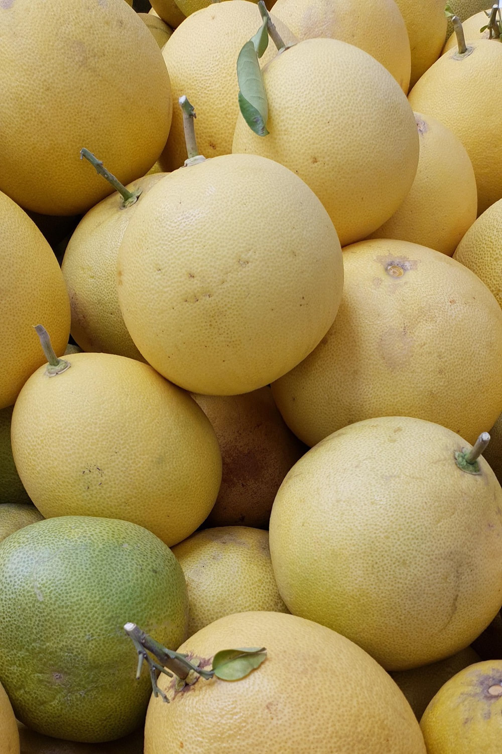 Yellow Pomelo. Photo credits M. Majed from Pixabay.