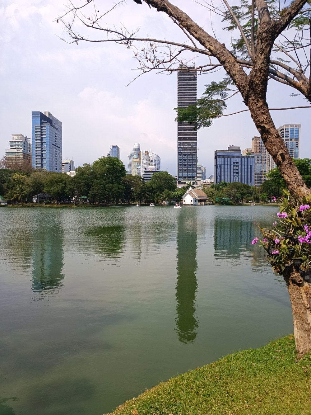 Lumphini Park in Bangkok. Photo by Thierry Hanan Scheers.