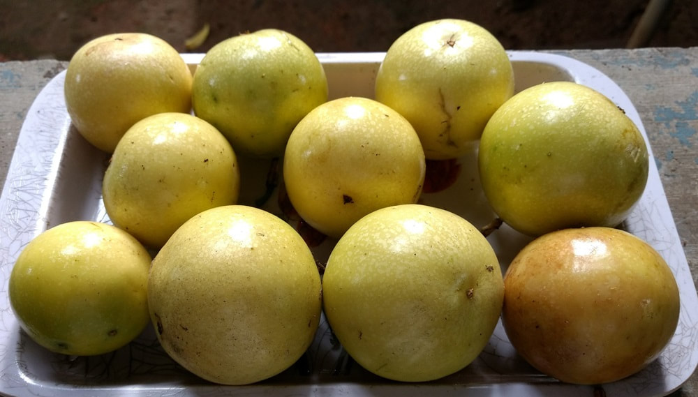 The yellow Passion Fruits, also named Markisa. Photo credits Gopinathan T. from Pixabay.